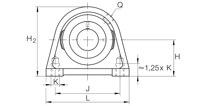 INA Kussenlagerblok gietijzer :: RSHE20-XL-N :: 3